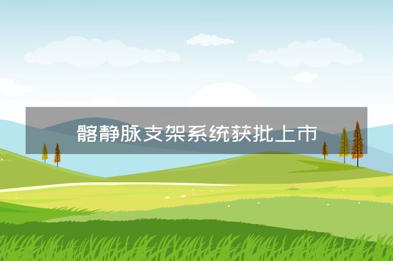 髂静脉支架系统获批上市
