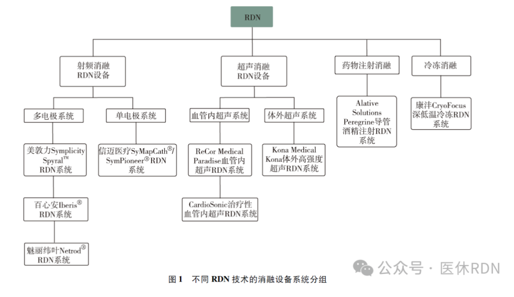 不同RDN技术的基本作用机制和特点
