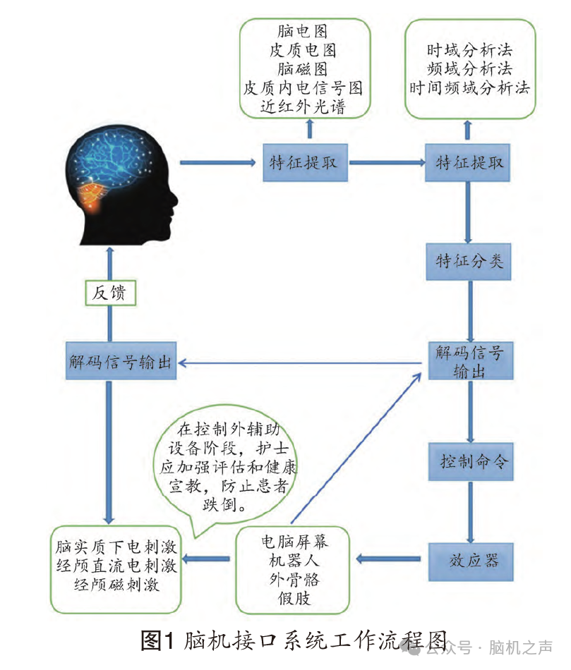 脑机接口技术在康复领域的应用进展