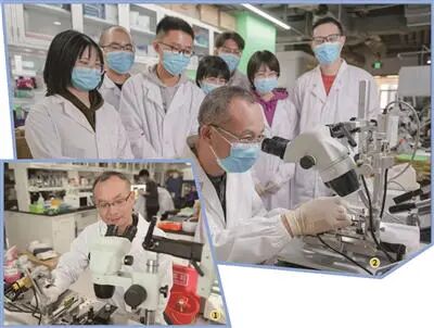 产业观点 | 罗敏敏：建议建立侵入式脑机接口技术高标准监管体系