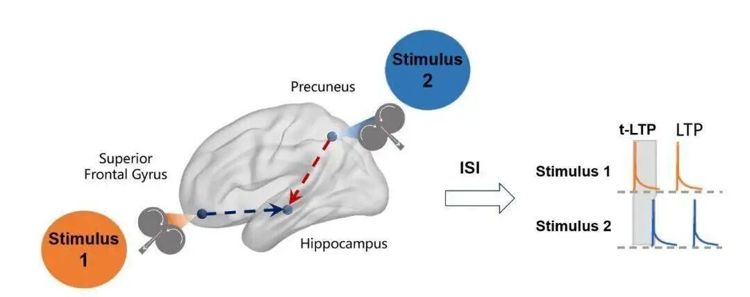 远葆医疗完成数千万元天使轮融资，加速非侵入式闭环脑机接口与神经康复转化