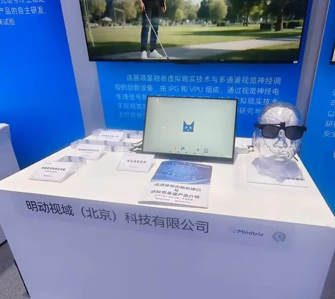 约300000/例，视觉重建脑机接口预计2030年前后上市